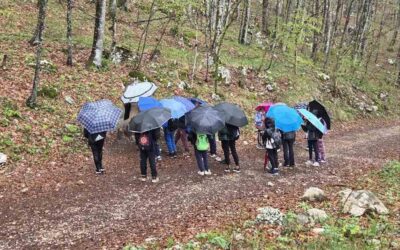 Treći razredi na terenskoj nastavi na Učki