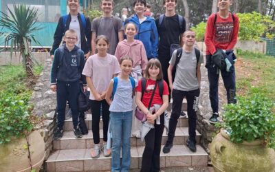 20. Festival matematike